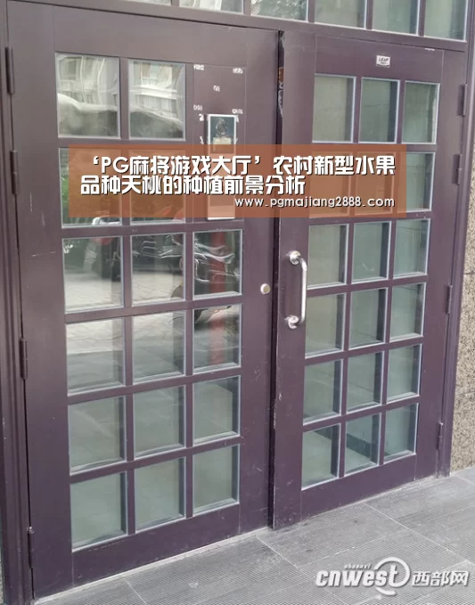 ‘PG麻将游戏大厅’农村新型水果品种天桃的种植前景分析(图1) PG官方网站