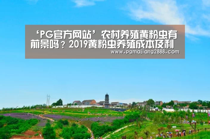 PG麻将官网